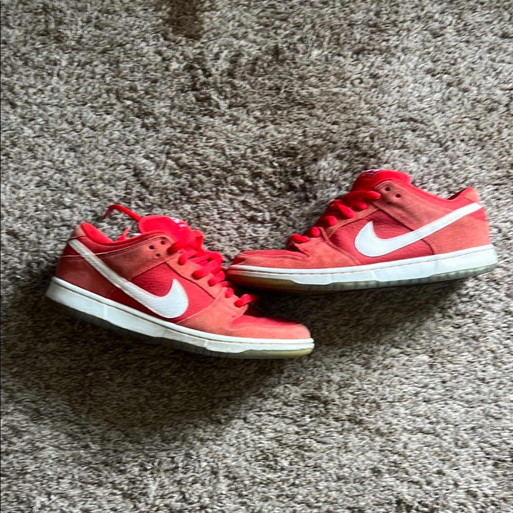 Nike SB. Size 10.5. Used but still in really good condition.